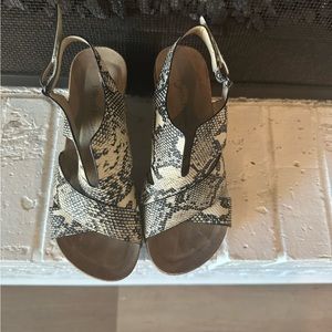 Pierre Dumas Snake‎ Skin Wedge